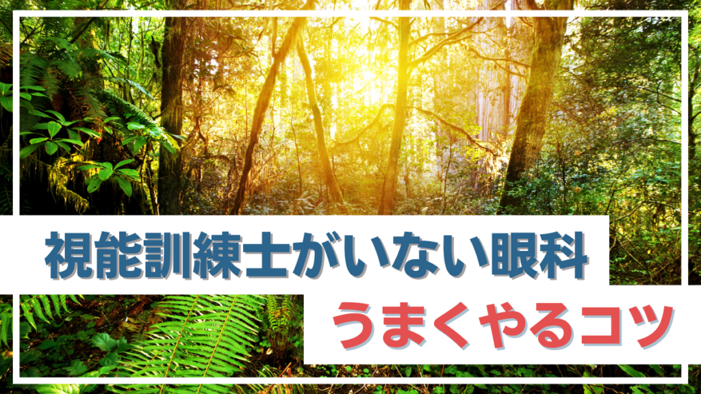 視能訓練士のいない眼科の転職でうまくいくための3つのコツ